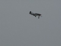 DSC00875.JPG
